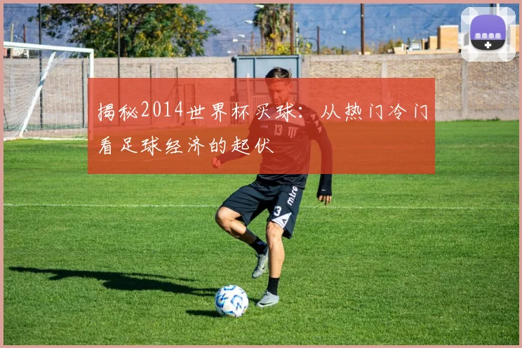 揭秘2014世界杯买球：从热门冷门看足球经济的起伏