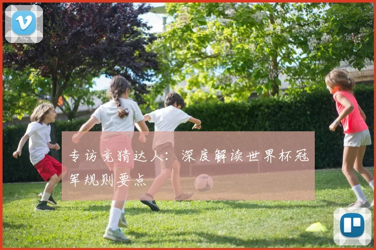 专访竞猜达人:深度解读世界杯冠军规则要点