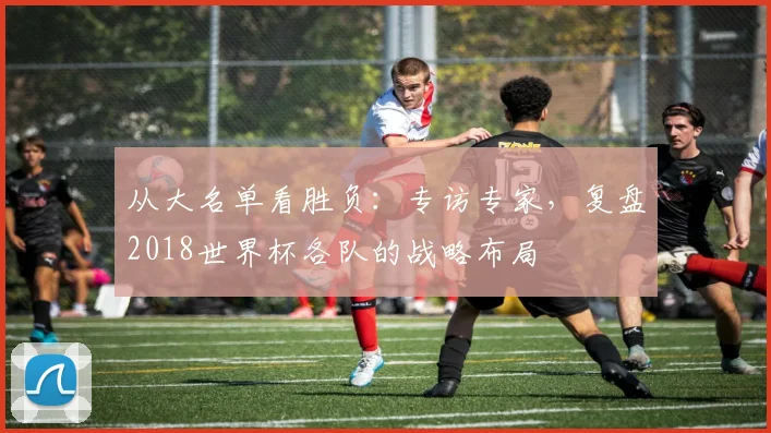 从大名单看胜负:专访专家,复盘2018世界杯各队的战略布局