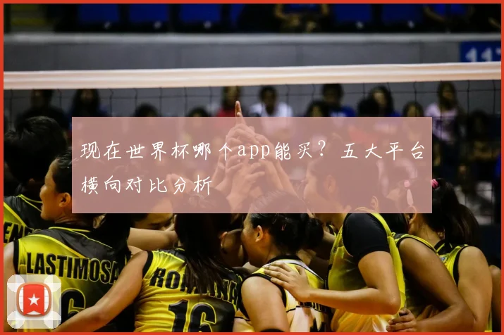 现在世界杯哪个app能买？五大平台横向对比分析