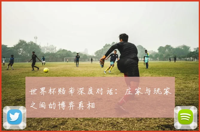 世界杯赔率深度对话:庄家与玩家之间的博弈真相